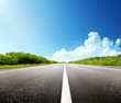 summer day and road
