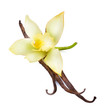 Vanilla
