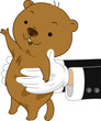 Groundhog