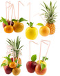 concept fruits à boire concept fruits à boire