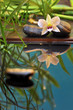 Wellness Orchidee Spiegelung