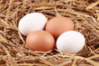Photo: Eier im Stroh Eier im Stroh