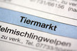 Foto: Tiermarkt Tiermarkt