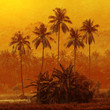 Palm trees Palm trees