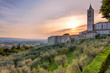 Foto: Basilica di S. Francesco Basilica di S. Francesco