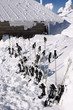Schneeschuhe