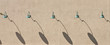 Green Lamps and Shadows on Brown Stucco Wall