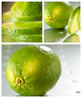 Citron vert