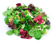 Mixed lettuce