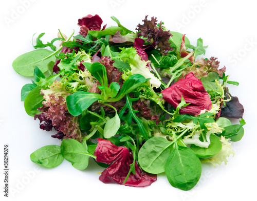 Photo: Mixed lettuce Mixed lettuce