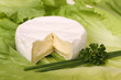 Camembert