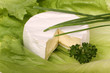 Weichkäse Camambert Brie