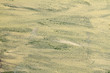 YELLOW PAINTED CANVAS FOR TEXTURED BACKGROUND