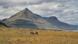 Pyramid-shaped mountain Pyramid-shaped mountain