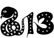 2013 Happy New Year
