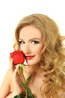 portrait of a girl with rose portrait of a girl with rose