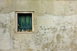 Fenster Fenster