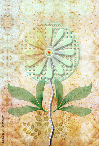 Illustration: MEMORIE FLOREALI MEMORIE FLOREALI