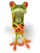 Grenouille et wc