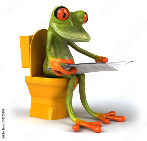 Illustration: Grenouille et wc Grenouille et wc