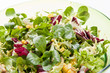 Insalata