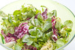 Insalata