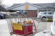 Einkaufswagen mit Korb