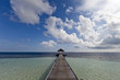 the way of paradise island