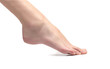 Foot