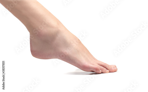 Photo: Foot Foot