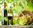 Red and white wine bottles, two glasses and grapes in basket