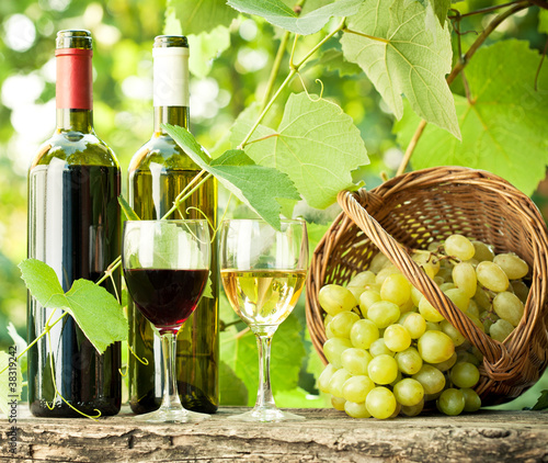 Photo: Red and white wine bottles, two glasses and grapes in basket Red and white wine bottles, two glasses and grapes in basket
