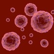 Plasma