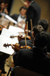 Violinist Violinist