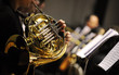 french horn