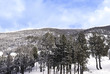 Winter landscape, Port Aine Winter landscape, Port Aine