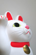 welcome cat-55