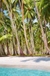 Tropical beach with palm grove