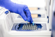 Photo: Scientist with DNA copying, Real-time cycler close Scientist with DNA copying, Real-time cycler close