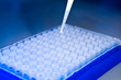 Photo: Top view, drop on tip of pipette above cell plate Top view, drop on tip of pipette above cell plate