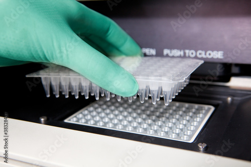 Photo: Green gloves, Thermal PCR cycler, DNA copy, close Green gloves, Thermal PCR cycler, DNA copy, close