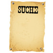 Illustration: Plakat - SUCHE white Plakat - SUCHE white