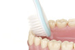Mundhygiene