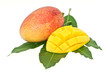 mangue mangue