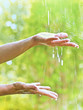warm rain