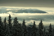 Winter landscape in the mountains