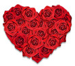 Red roses in the shape of the heart. White background.