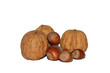 Nueces y avellanas Nueces y avellanas