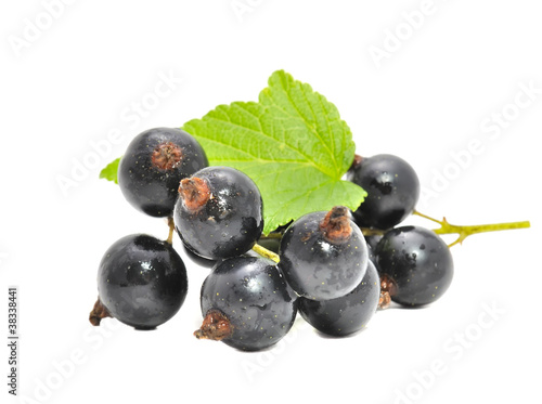 Photo: Blackcurrants with Green Leaf Isolated on White Background Blackcurrants with Green Leaf Isolated on White Background