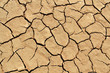 Soil detail of a dry pan, in the Sossusvlei sand dunes, Namib de